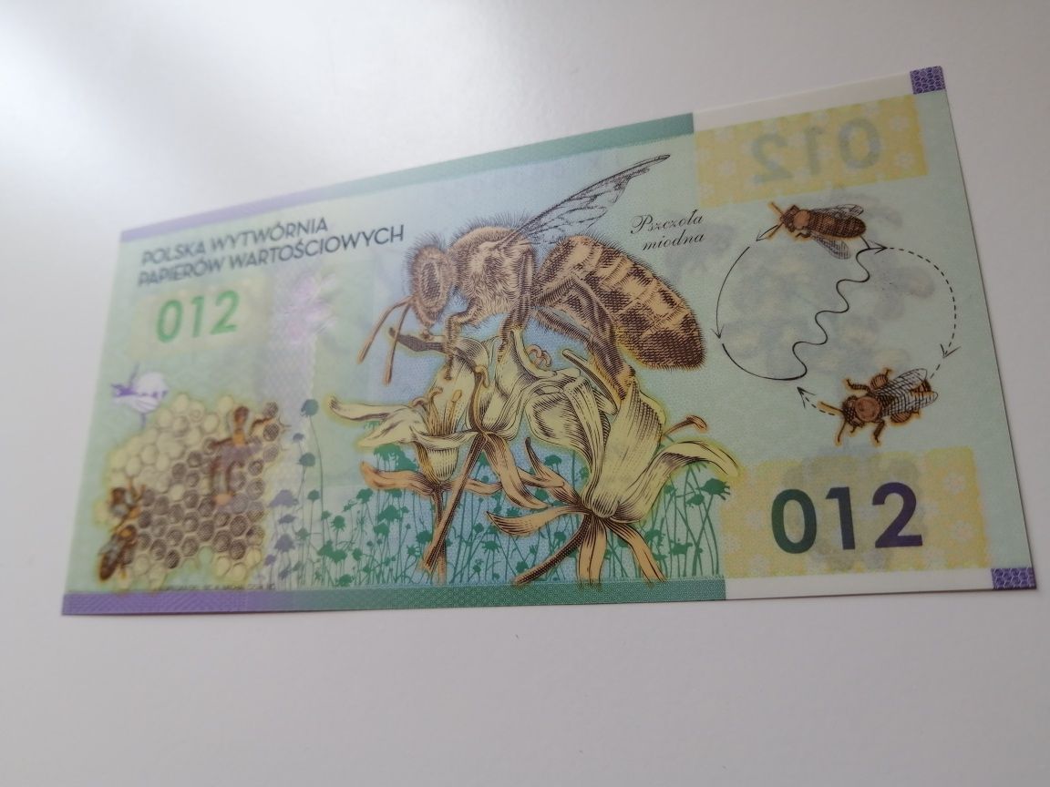 Banknot Polimerowy "Pszczoła miodna" UNC
