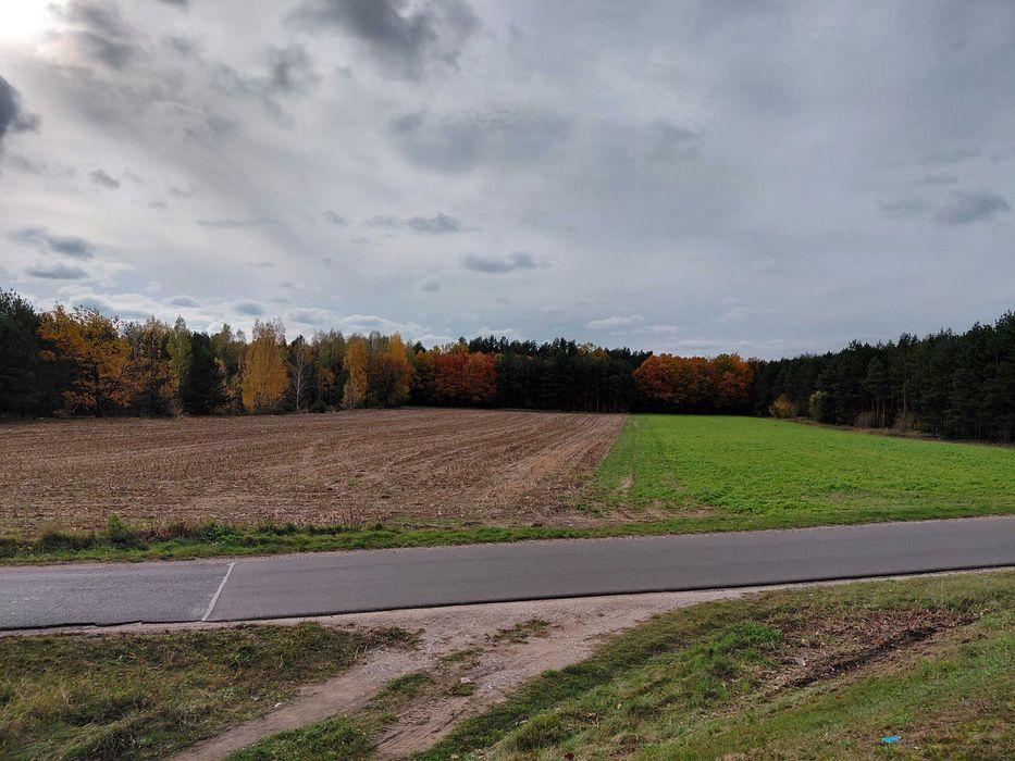 działka z MPZP - zabudowa zagrodowa, duża swoboda zabudowy