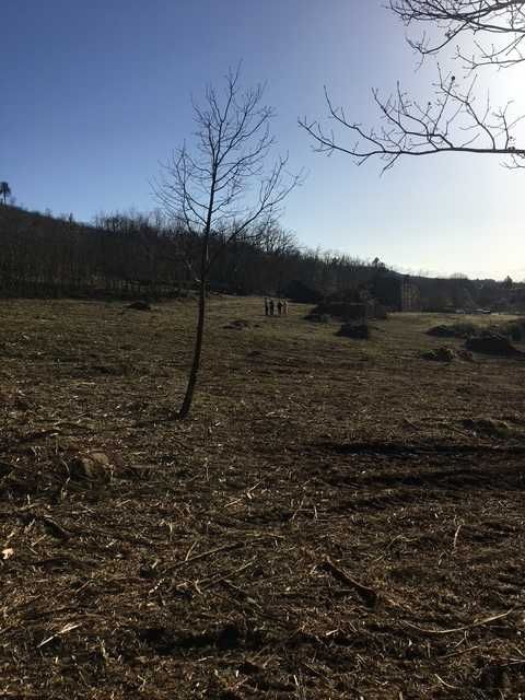 Quinta para restauração 1000m2 Fuinhas Fornos de Algodres