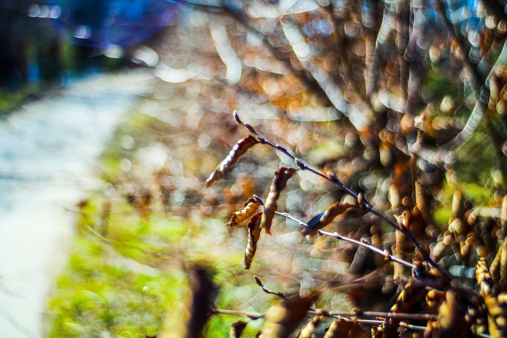 Soligor 35mm 2.8 sony Topcor canon fd m42 leica meike