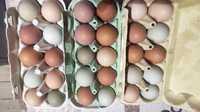 Продам инкубационные яйца смешаных  пород