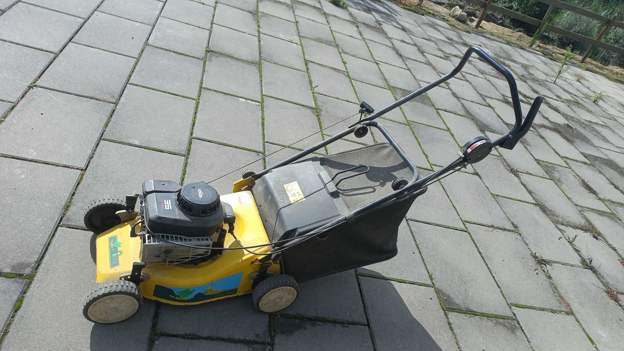 Máquina Cortar Relva Gasolina