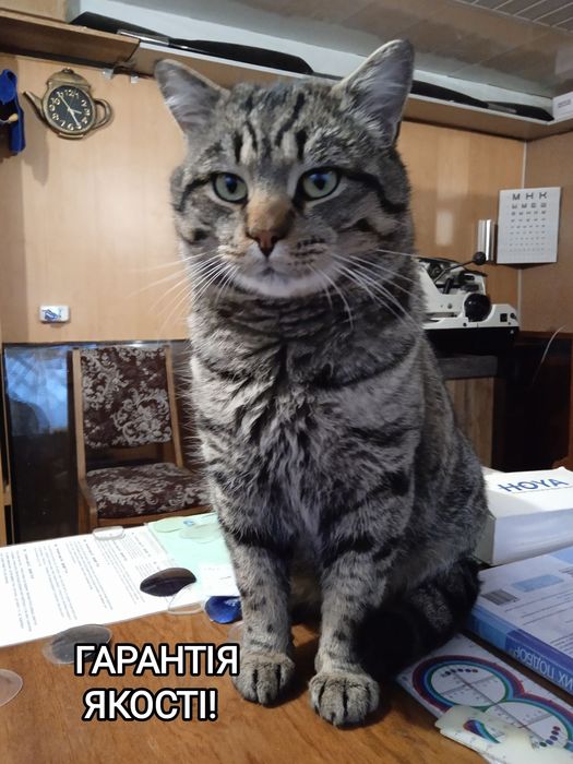 Очки.Окуляри.Виготовлення.Ремонт.Заміна лінз.