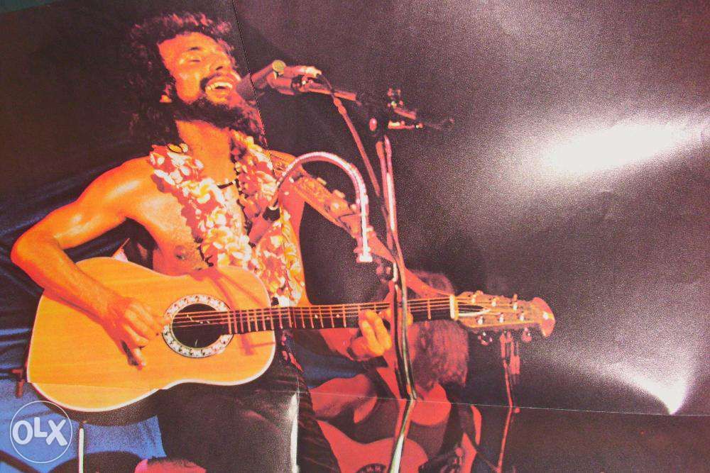 Cat Stevens Album
