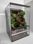 Terrarium z wodospadem dla gekona orzęsionego, TW16W, AquaWaves