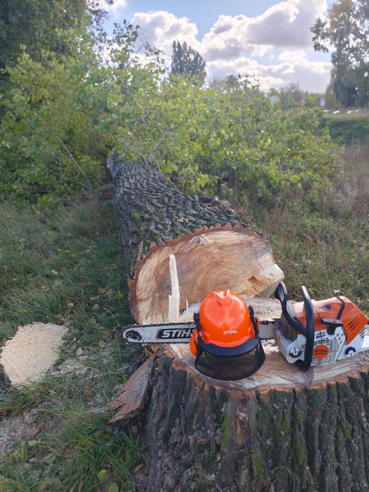 Wycinka drzew arborysta przycinka prace wysokościowe odśnieżanie