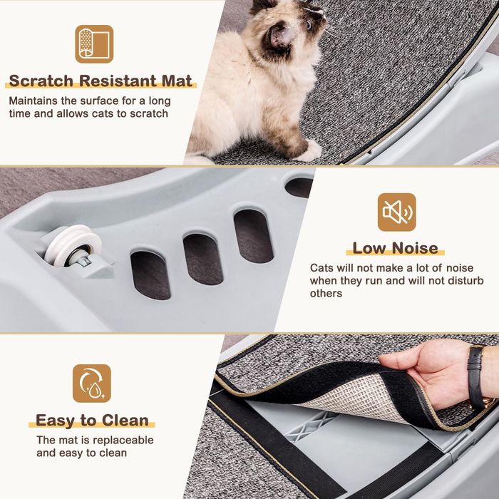 Kołowrotek Dla Kota Bieżnia Fitness