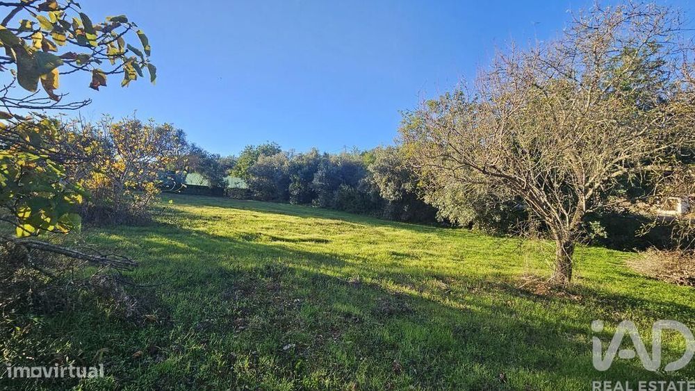 Terreno Agrícola em Santa Bárbara de Nexe