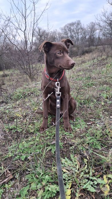 Дуня  шукає родину