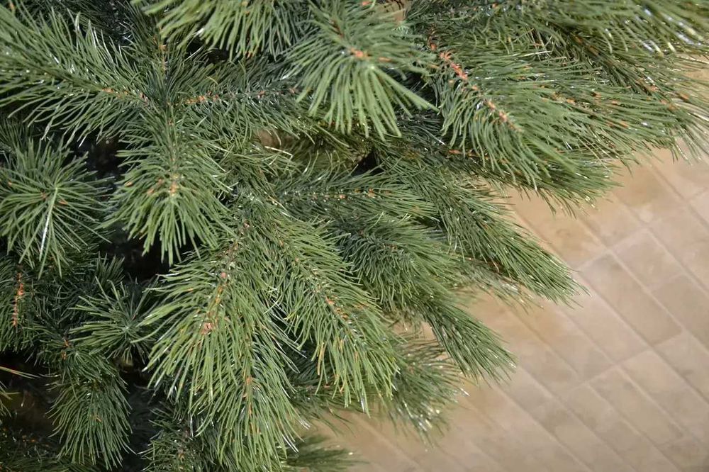 Штучна сосна "Еліт" 2,5 м – Ялинка лита, Новорічна ялинка, ель, сосна