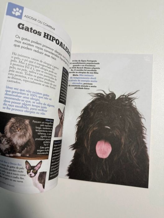 Livro Guia para Animais de Estimação