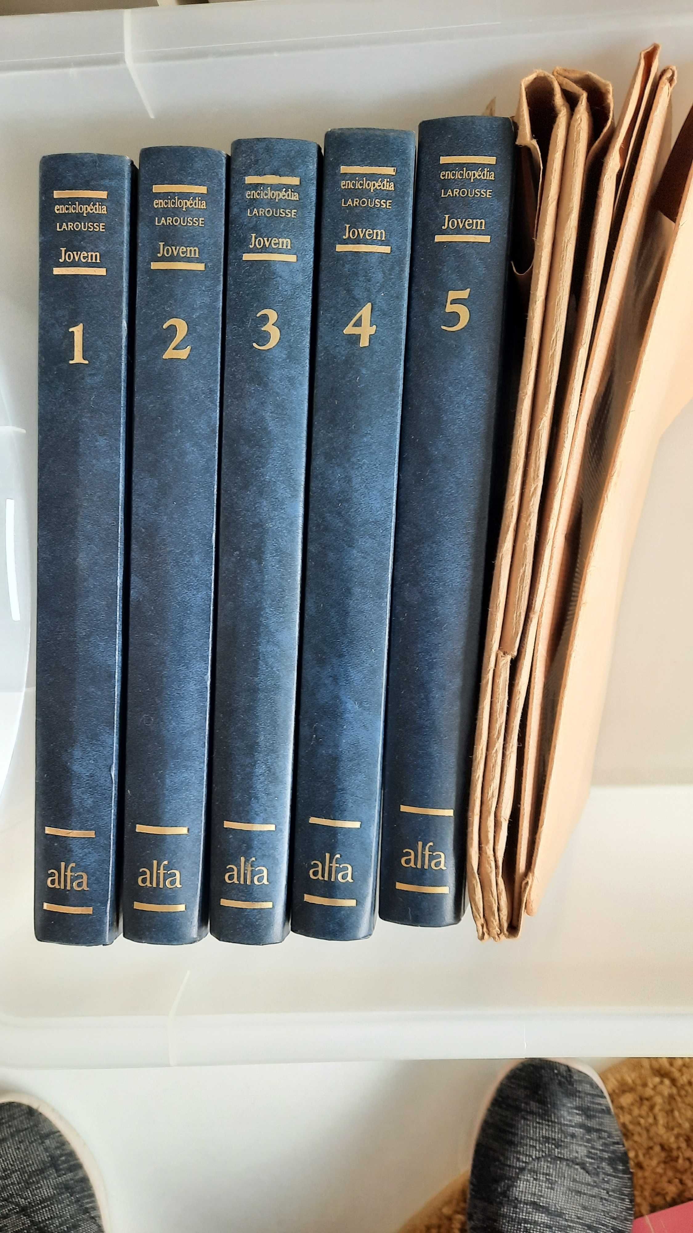 LAROUSE Enciclopédia Jovem 5 Volumes e fichas 7€