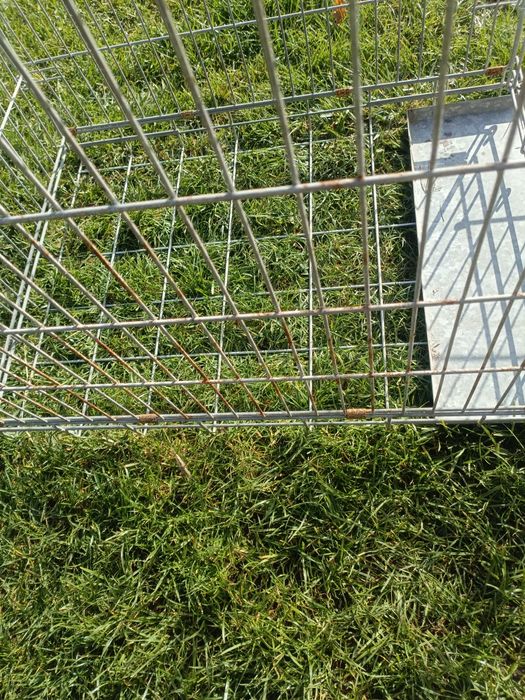 Klatka metalowa na drób