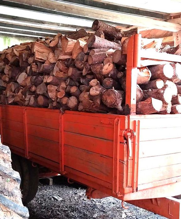 Lenha de Pinheiro Manso