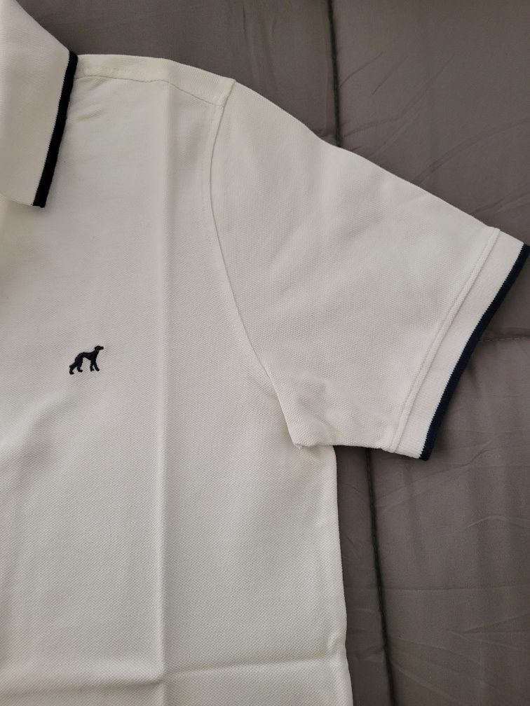 Polo Sacoor homem