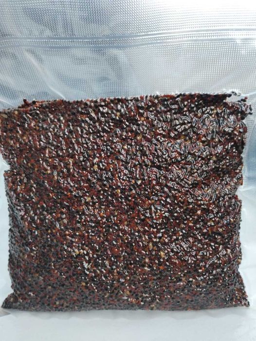 Mix ziaren - Konopia/Rzepik - 1 kg - Gotowa zanęta