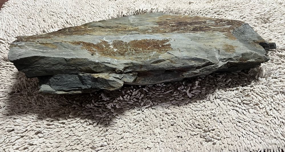 Ardósia para Aquário grande