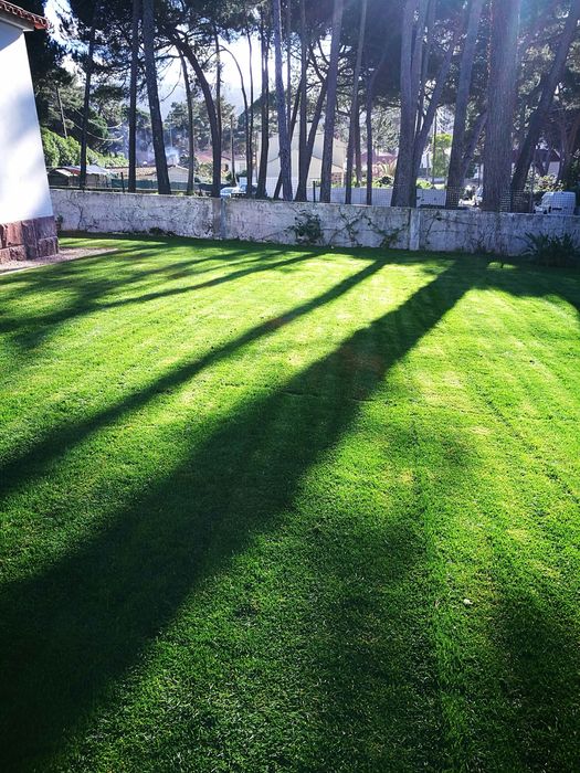 Contrucçao Espaços verdes