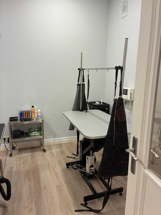 Banhos e Tosquias - Venda de empresa