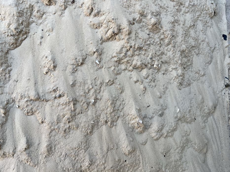 Piasek drugi gatunek