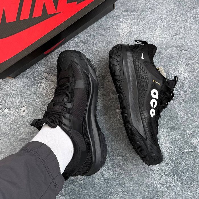 Чоловічі Зимові Кросівки Nike ACG Mountain Fly 2 Low Gore-Tex Termo