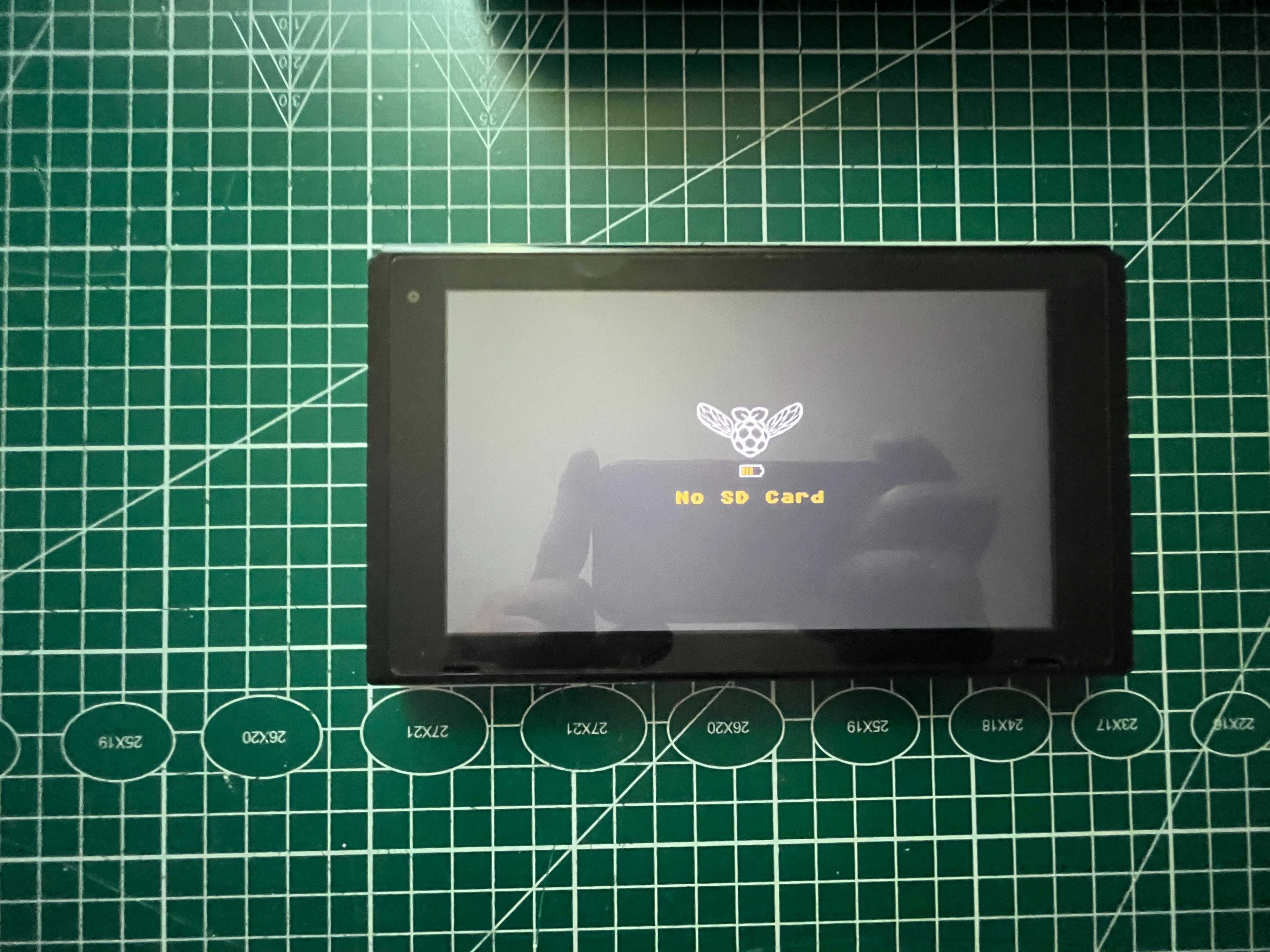 Nintendo Switch z Hwfly Picofly
