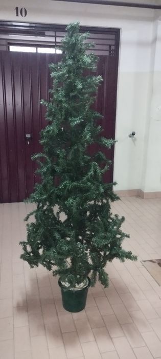 Árvore de natal de 1.9m