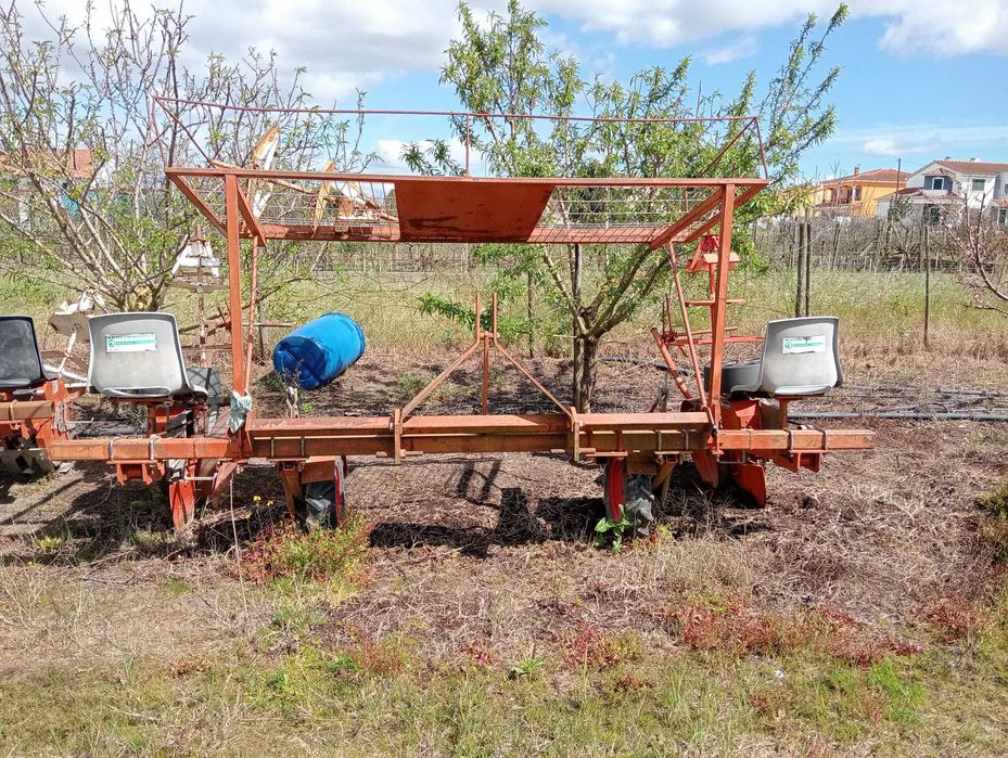 Um Plantador de Hortícolas