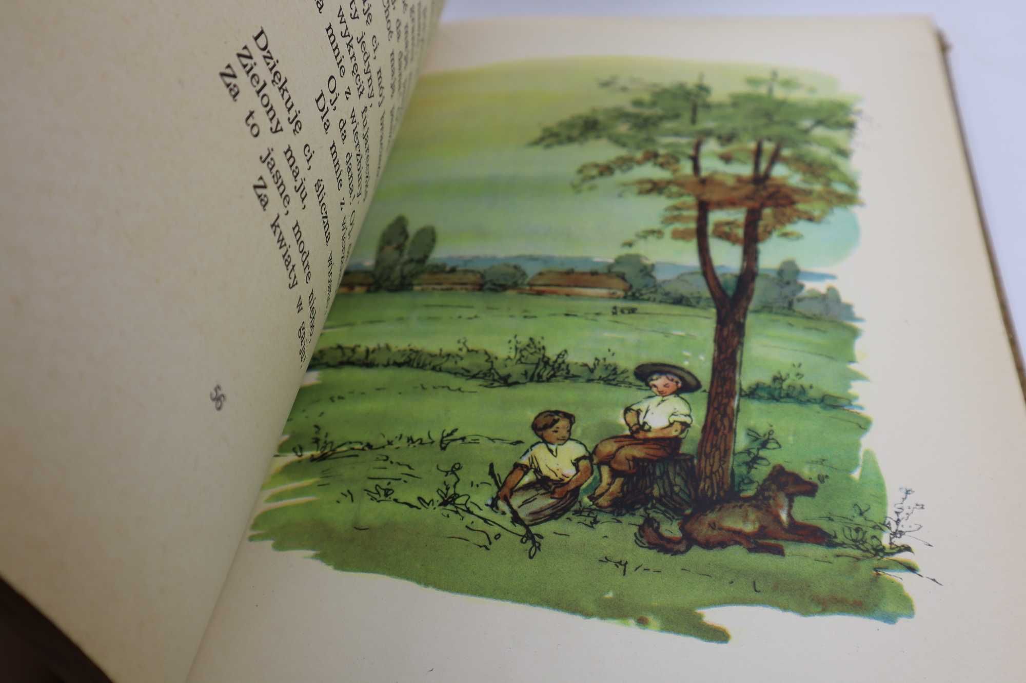 Co Słonko Widziało Maria Konopnicka 1954r ilustracje Zieleniec