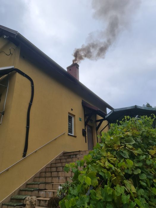 Wynajem domu jednorodzinnego