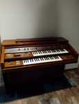 Organy cyfrowe Yamaha electone FE-70