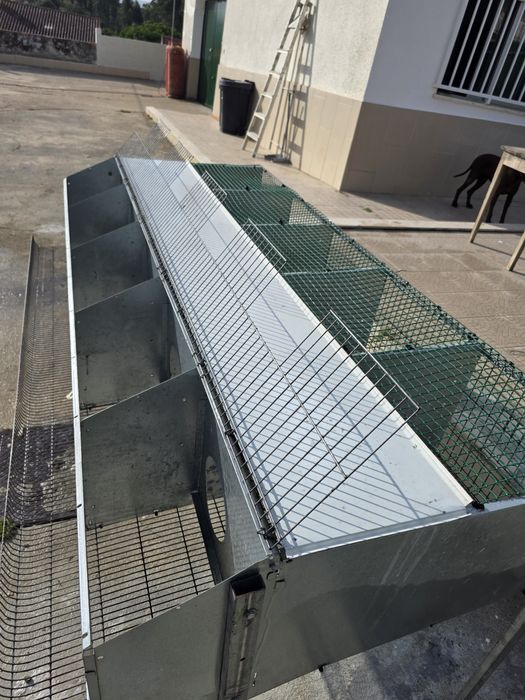 Jaula 5 Casais Perdizes reprodutoras completa