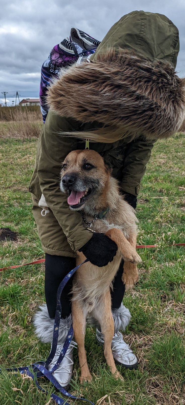 Tedi - uroczy młody psiak - szuka domu na zawsze !