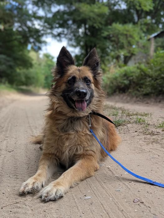 Pokochaj i adoptuj Becię!