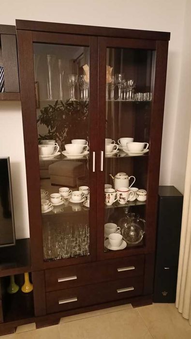 meble do salonu kolor wenge, fornir