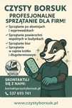Usługi sprzątania - biur, lokali, pranie tapicerki i wykładzin