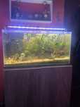 Aquario Completo