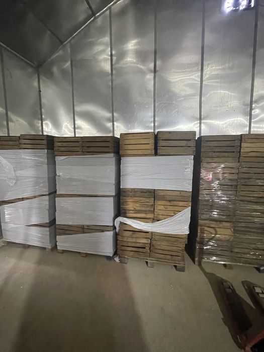 Klatki jedynki 500szt