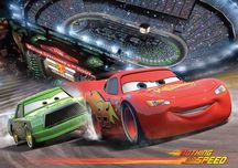 Fototapeta Disney Cars Auta 254x184 cm, nr kat: 4-008D