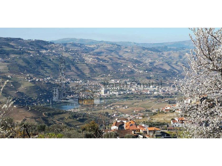 Quinta no Douro com Vista Rio