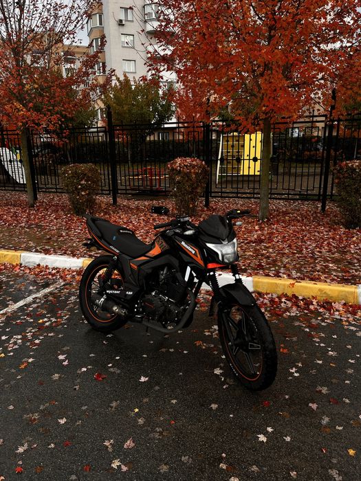 СРОЧНО продам мотоцикл мустанг регион 250