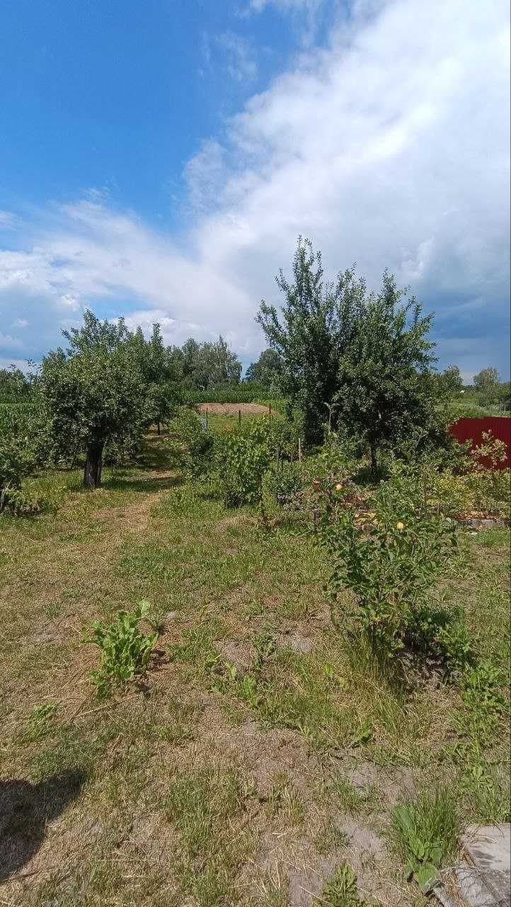 Будинок у гарному місці