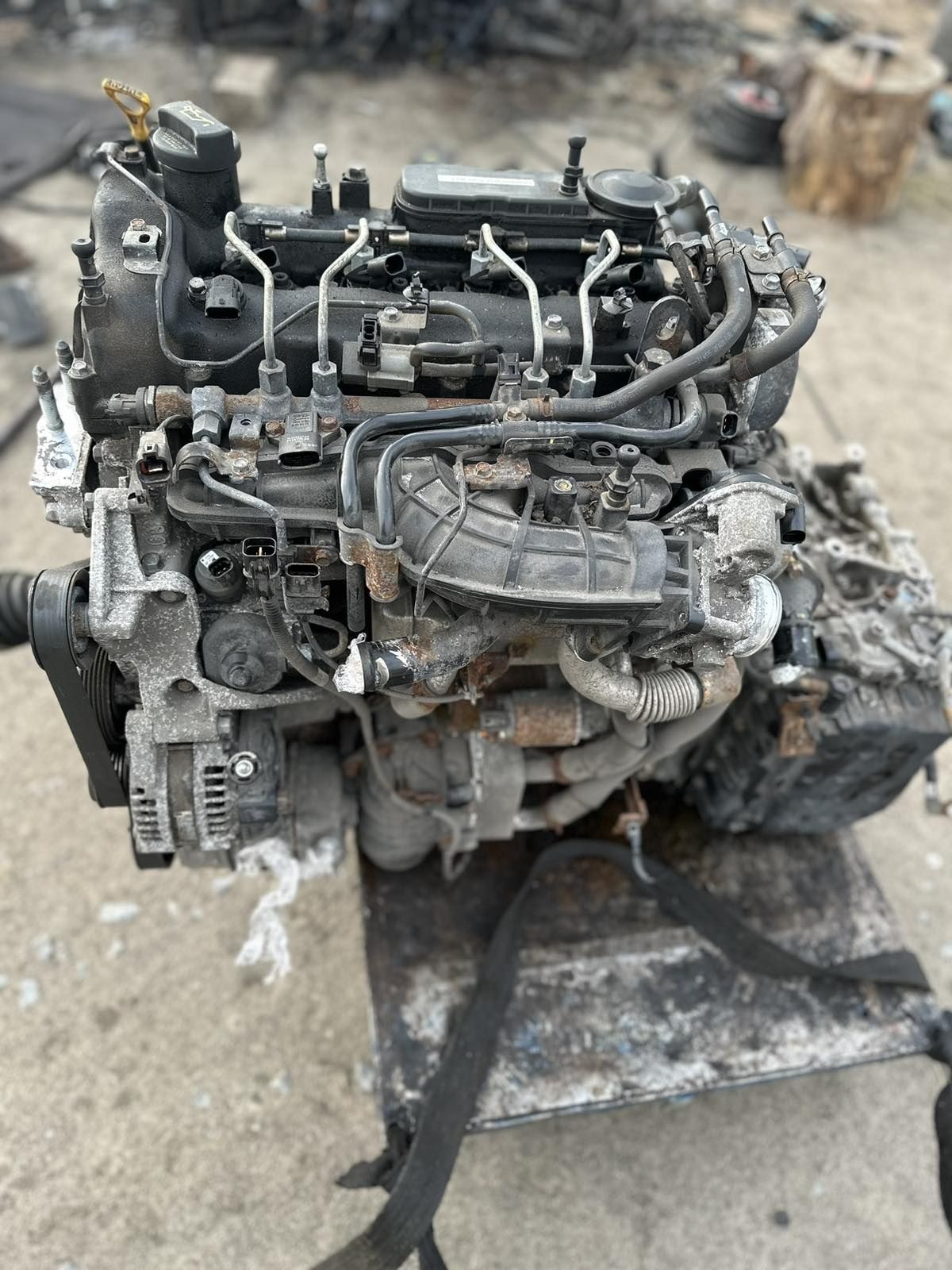Двигун D4EB, D4HB Santa Fe II 2.2, Sorento Мкпп, Акпп