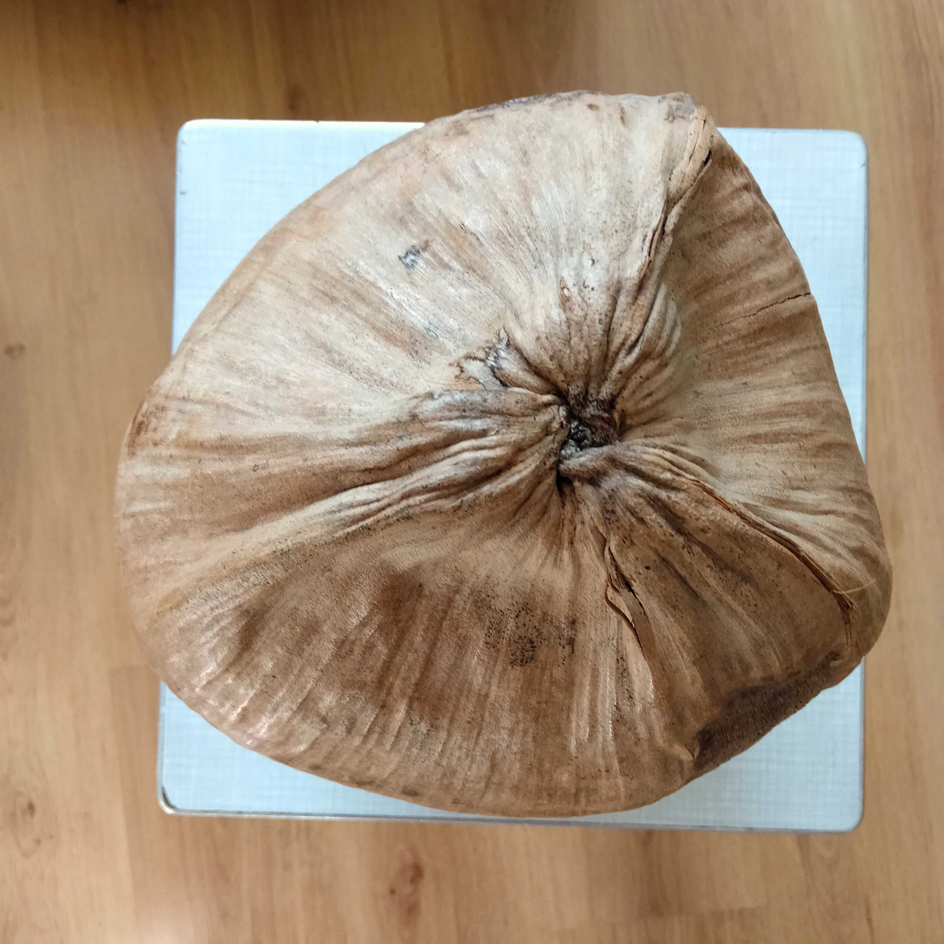 Продам кокосовый орех