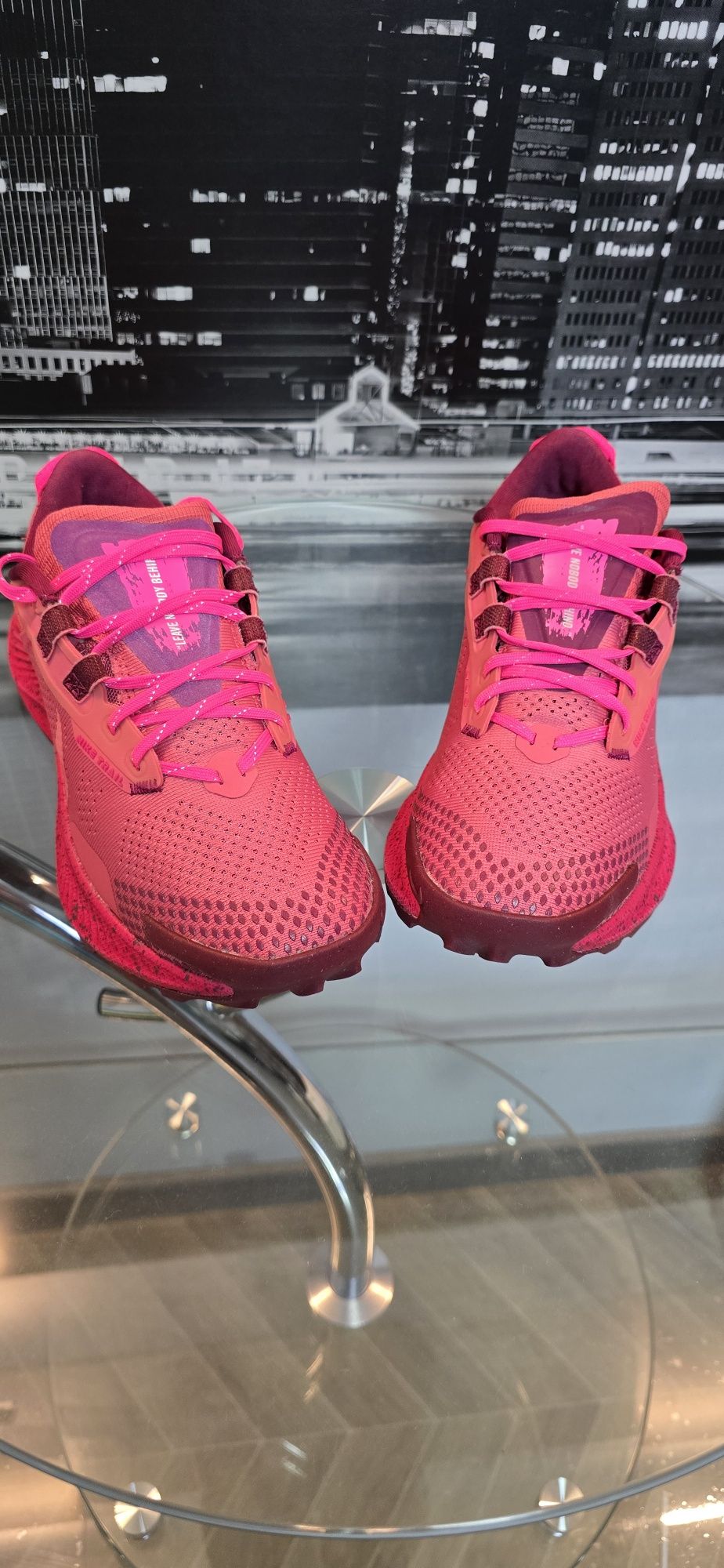 Nike Pegasus Trail 3 Gore tex