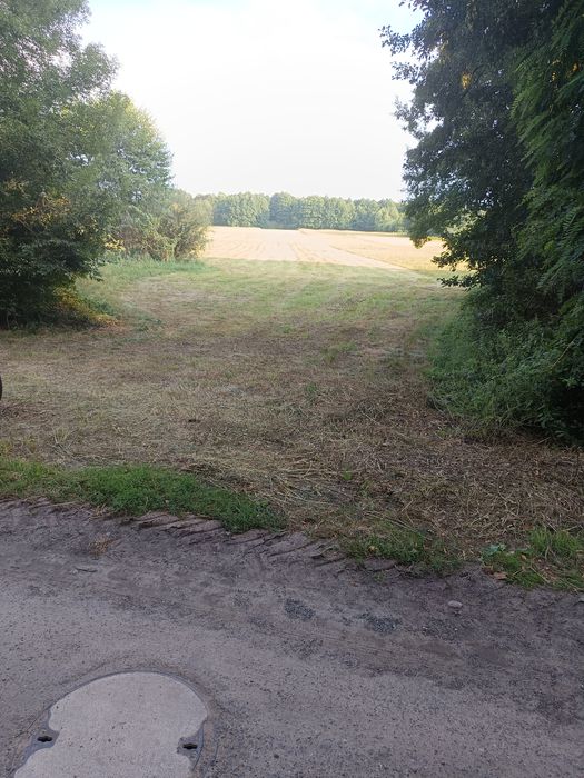 Sprzedam działkę rolną. 1ha. Żychlin koło Konina