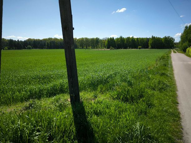 Działka budowlana 1300 m2 pod lasem