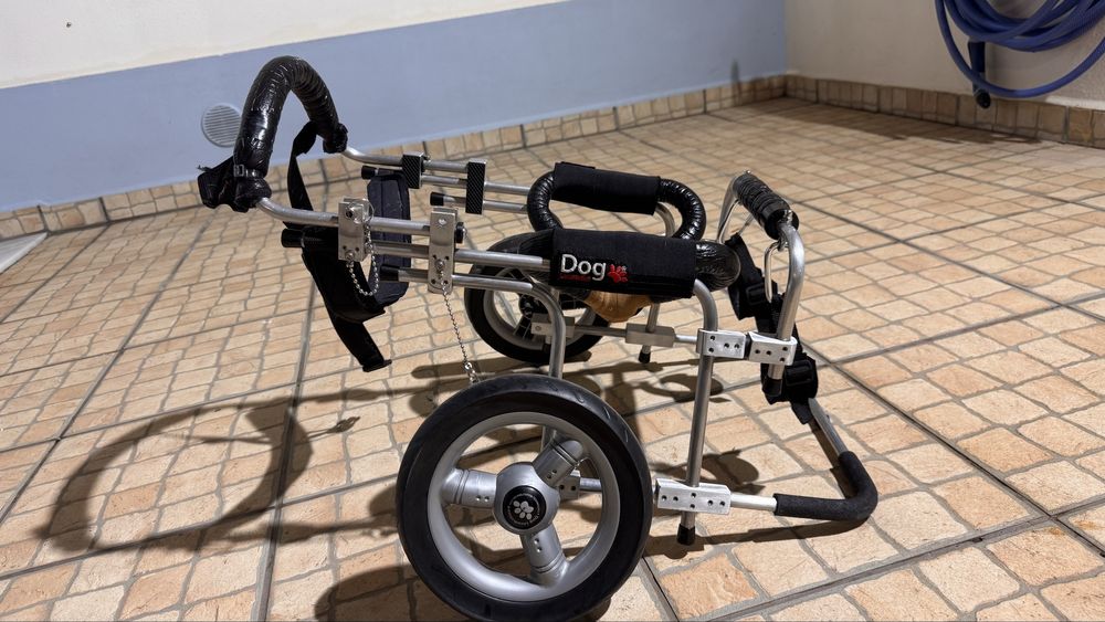 Cadeira de rodas para cão