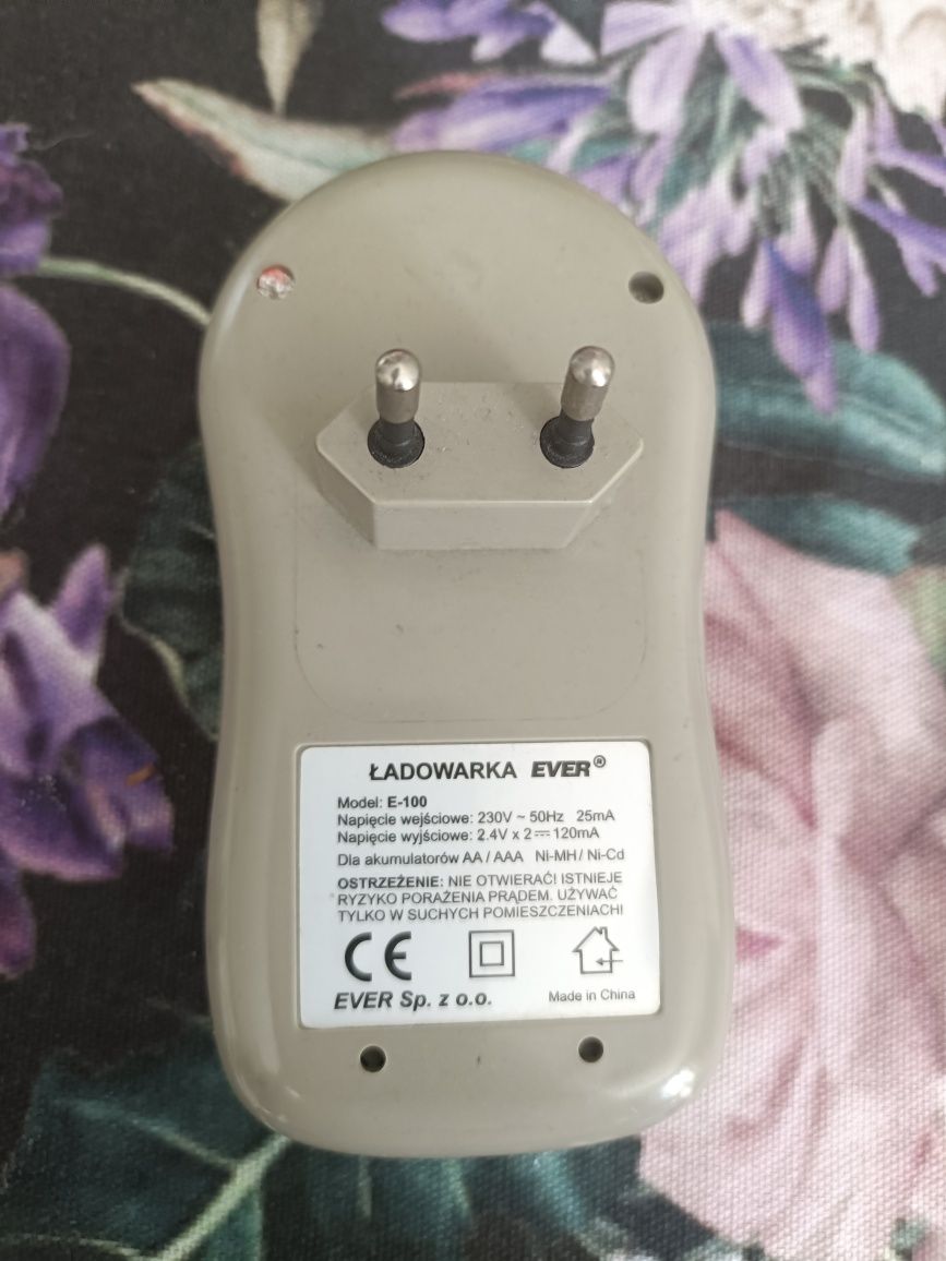 Ładowarka Ever E-100