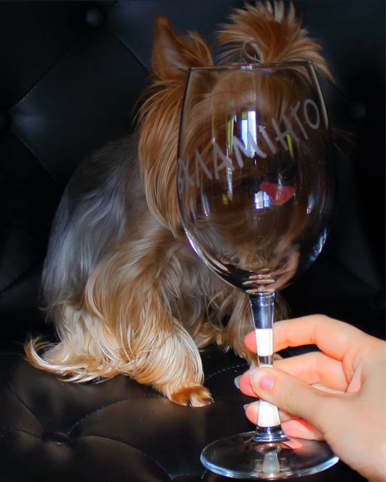 Подарунковий Бокал Вхламінго 500 мл